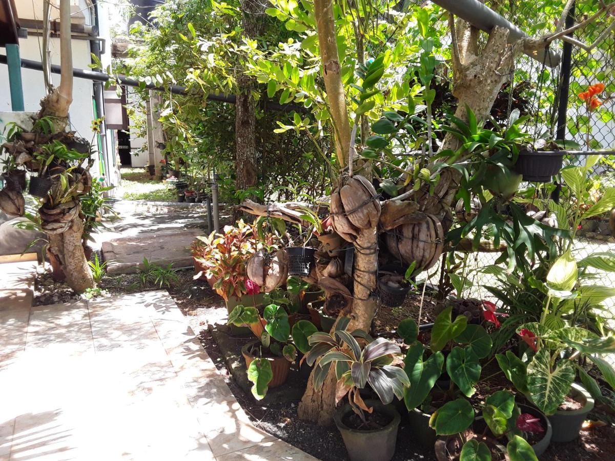 Karl Holiday Bungalow Kalutara Ngoại thất bức ảnh