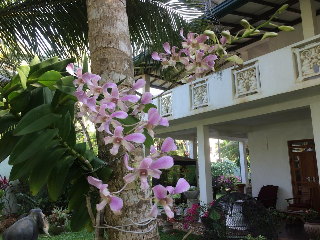 Karl Holiday Bungalow Kalutara Ngoại thất bức ảnh